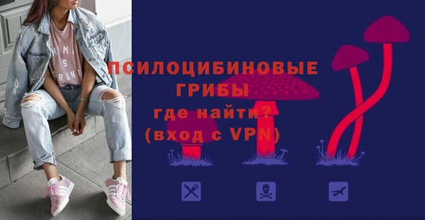 твердый Армянск