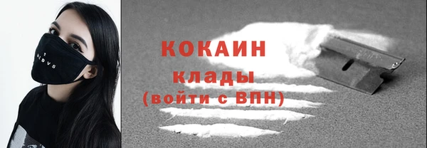 дживик Кинешма