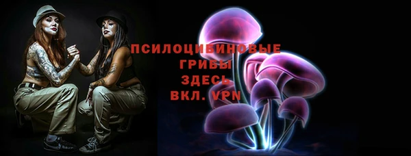 твердый Армянск